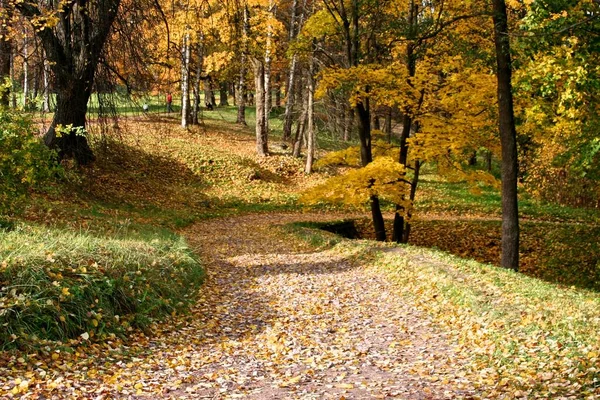 Callejón Oranienbaum Park San Petersburgo Lomonosov — Foto de Stock