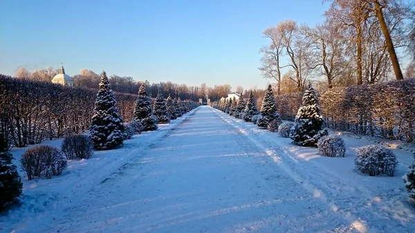 Oranienbaum Park Lower Garden Petersburg Lomonosov — 스톡 사진