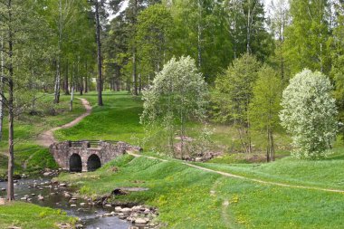 Restorasyondan sonra yıkılan köprü, Oranienbaum Park, Saint Petersburg, Lomonosov, 2016.