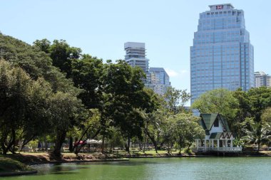  Bangkok, Tayland 'daki Lumpini Parkı.                              
