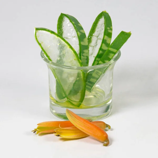 Aloe Vera Fiore Foglia Visualizzata Bianco Una Composizione Design Del — Foto Stock