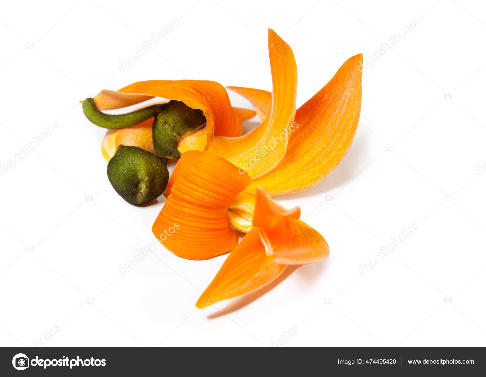 What Is Palash Flower Called In English