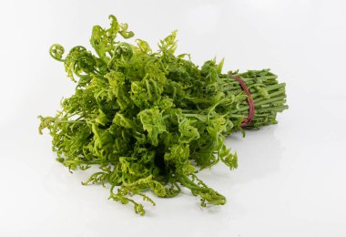 Asya ve Okyanusya 'da beyaz arka planda bulunan taze diplazium esculentum veya yenilebilir sebze eğreltiotu. En çok tüketilen eğrelti otu.