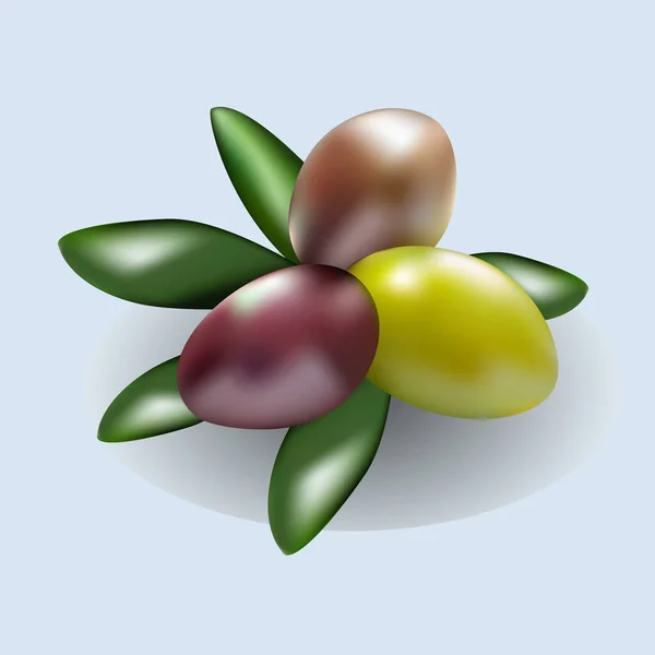 Aceitunas Degradadas Vector — Vector de stock