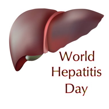 Dünya Hepatit Günü tasarım vektörü. Ağ modeli. Poster, afiş, kapak, arka plan için uygun. Minimalist ve modern bir konseptte.