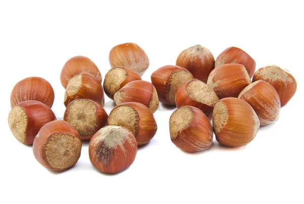 Banda lískových ořechů — Stock fotografie