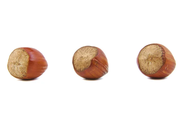 Close-up dari tiga hazelnut — Stok Foto