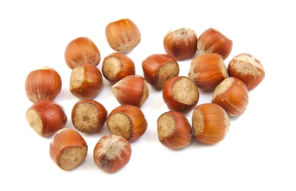 Segenggam hazelnut — Stok Foto