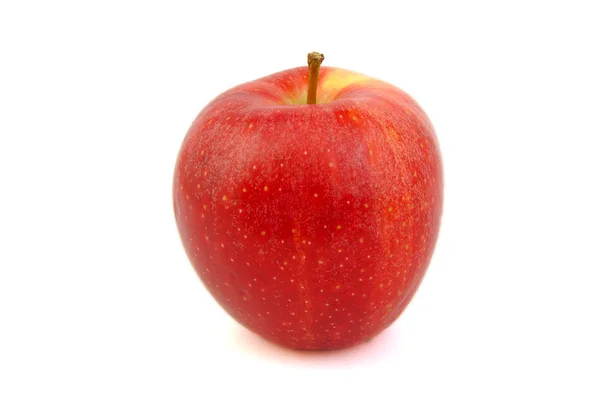 Королівський червоний гала apple — стокове фото
