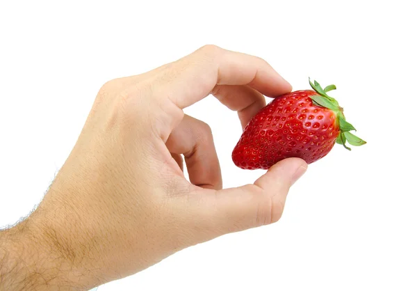 Hand hält eine Erdbeere isoliert auf weiß. — Stockfoto
