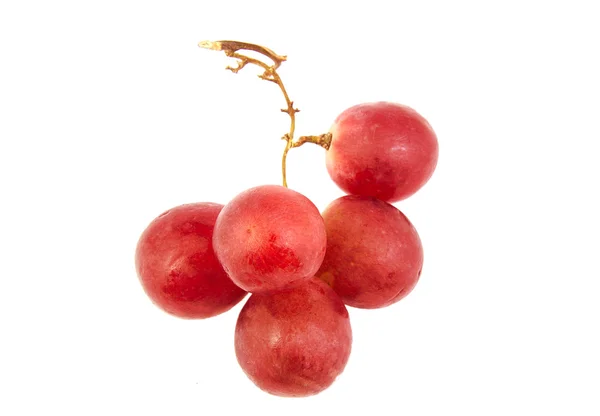 Grappolo di uva rossa isolato su bianco. — Foto Stock
