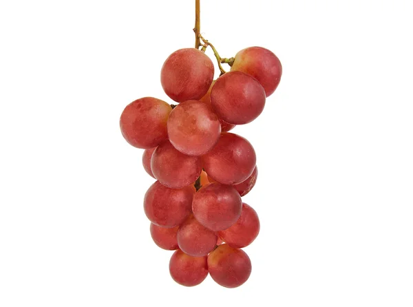 Ett gäng röda druvor isolerade på vita. — Stockfoto