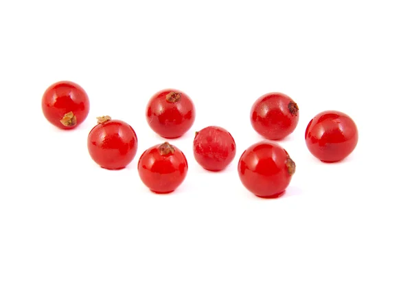 Groselhas vermelhas frescas sobre fundo branco . — Fotografia de Stock