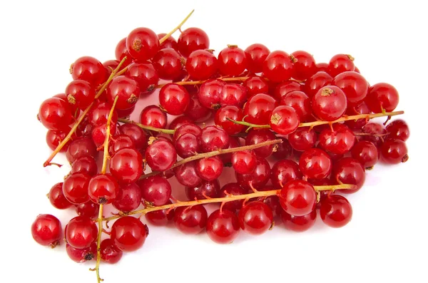 Bund frischer roter Johannisbeeren auf weißem Hintergrund. — Stockfoto