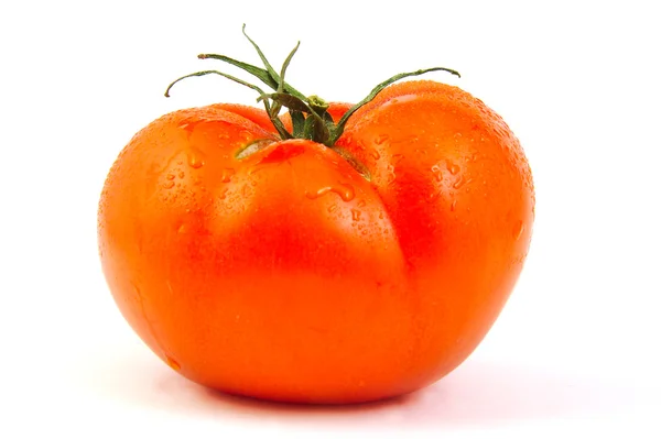 Enkelt tomat på hvid baggrund . - Stock-foto
