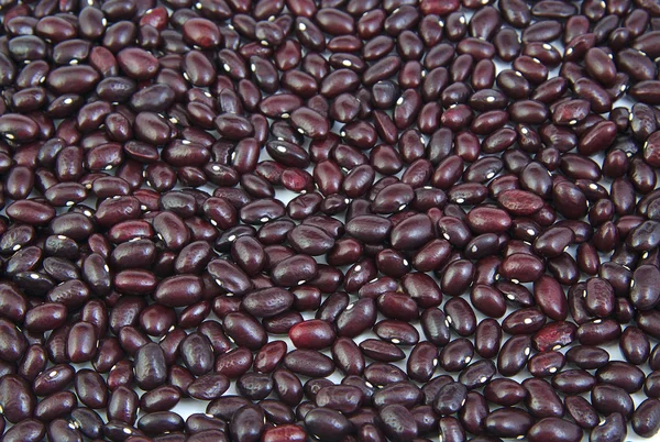 Ungekochte rote Bohnen als Hintergrund. Gernika-Bohnen. — Stockfoto