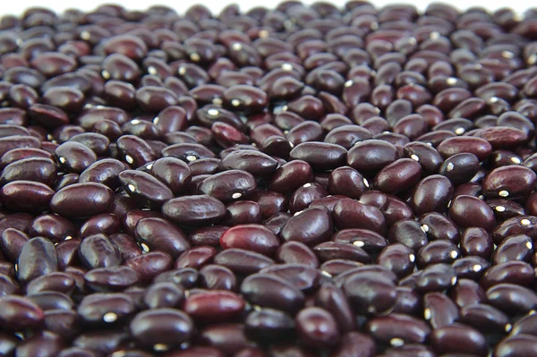 Uncoocked červené fazole jako pozadí. Gernika fazole. — Stock fotografie