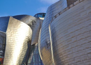 Ayrıntılı bir görünümünü Guggenheim Müzesi Bilbao, Biskay, Bask Ülkesi, İspanya