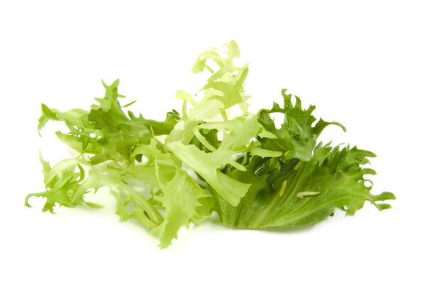 Fresh green lettuce leaves on white background