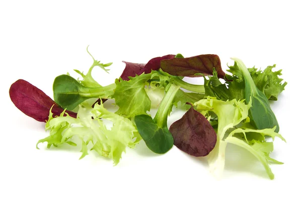 Świeży zielony i fioletowy sałata, kukurydza sałatka z liści na białym tle — Zdjęcie stockowe