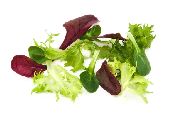 Lechuga verde y púrpura fresca, hojas de ensalada de maíz sobre fondo blanco — Foto de Stock