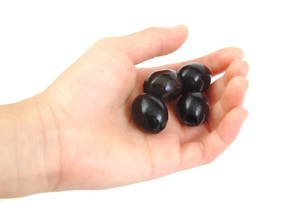 Aceitunas negras en mano aisladas sobre fondo blanco —  Fotos de Stock