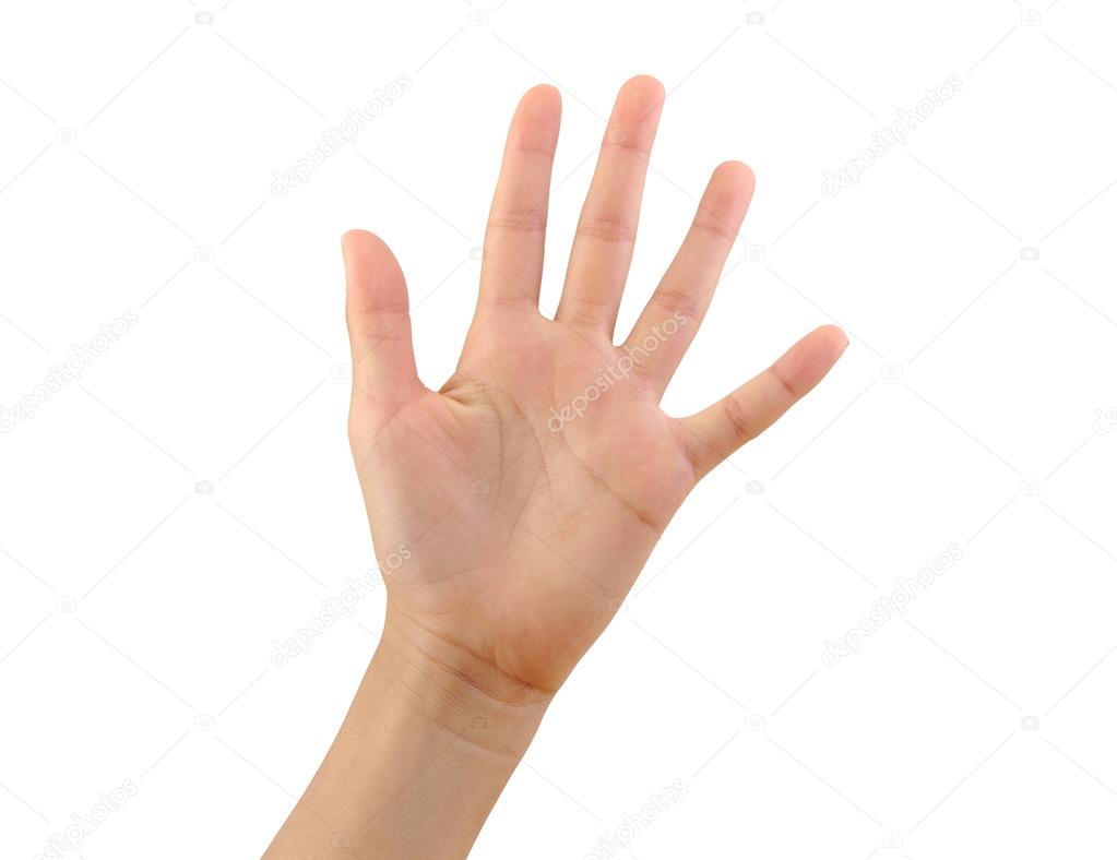 Girl hand showing five fingers isolated on a white background. Number 5