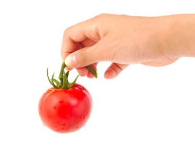 Beyaz arka plan üzerinde izole insan elindeki bütün domates