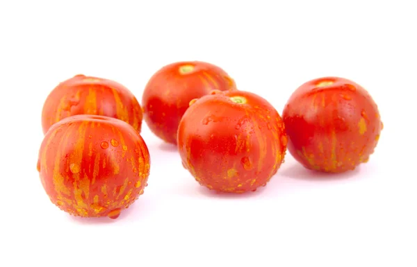 Tomates cerises sur fond blanc — Photo