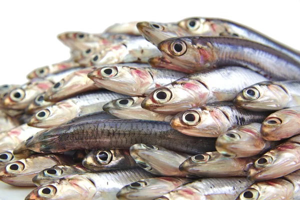 Anchoas — Foto de Stock