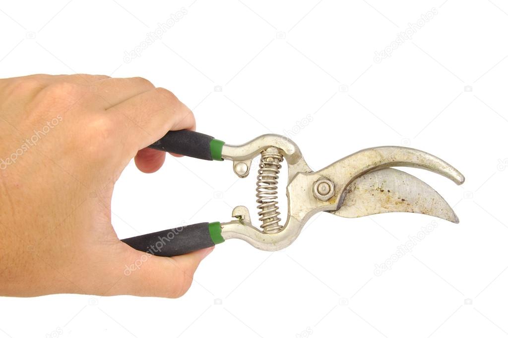 Hand holding pruning shears or garden scissors isolated on a white background