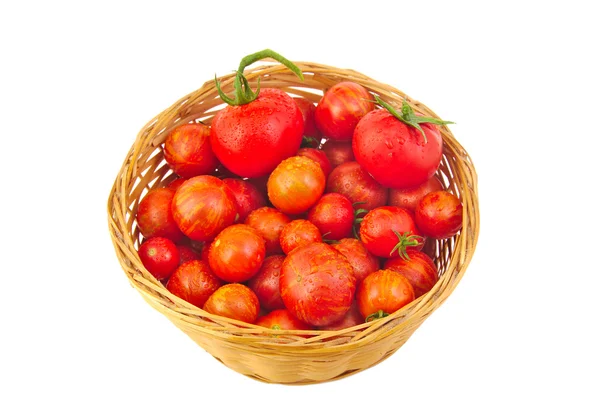 Tomates rojos frescos en cesta aislados sobre fondo blanco — Foto de Stock
