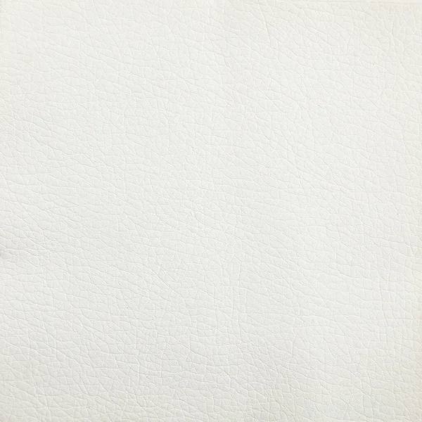 Premium white calfskin texture background for decor — Stock Photo, Image