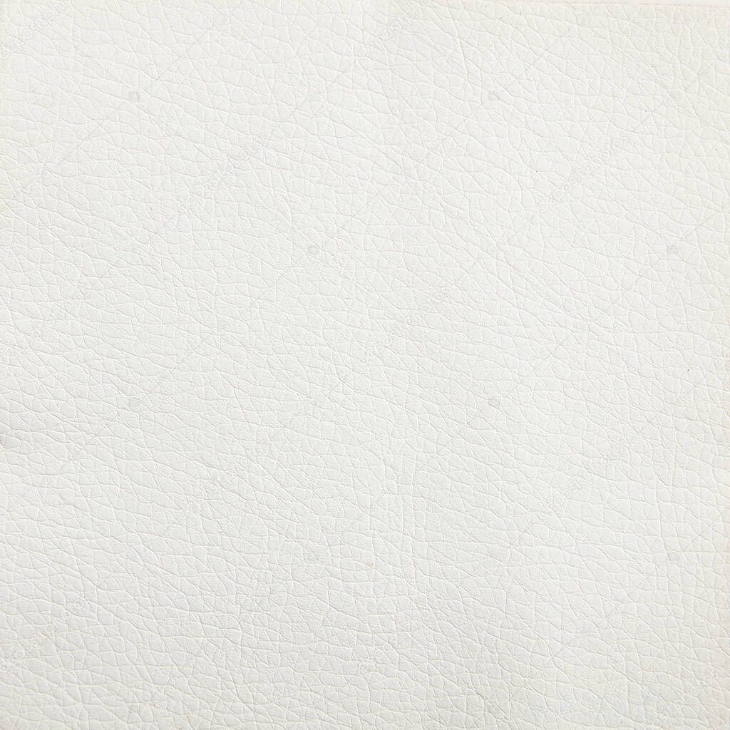 Premium white calfskin texture background for decor