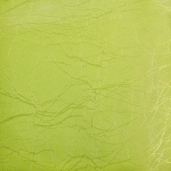 Motifs de texture vert pour le fond ou le design — Photo