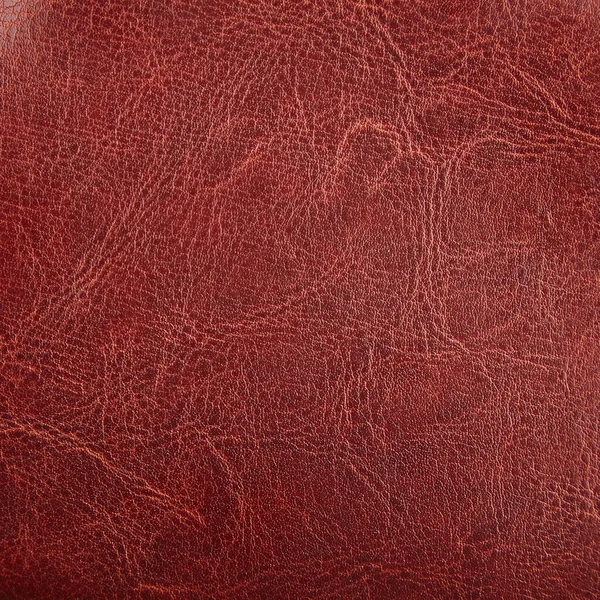 Premium brun cuir rouge fond de texture pour le décor — Photo