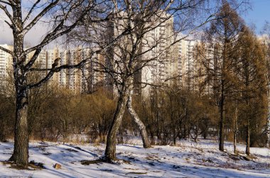 Kışın şehir banliyösü