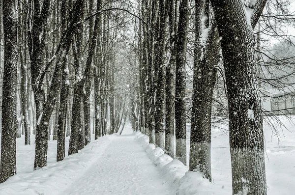 Snöiga gränd — Stockfoto