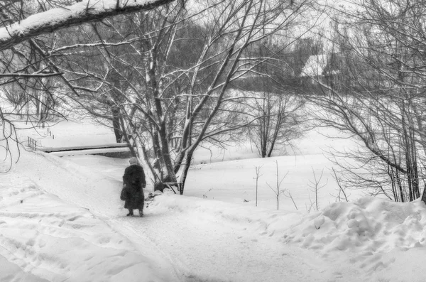 Winter in Peredelkino Stock Image