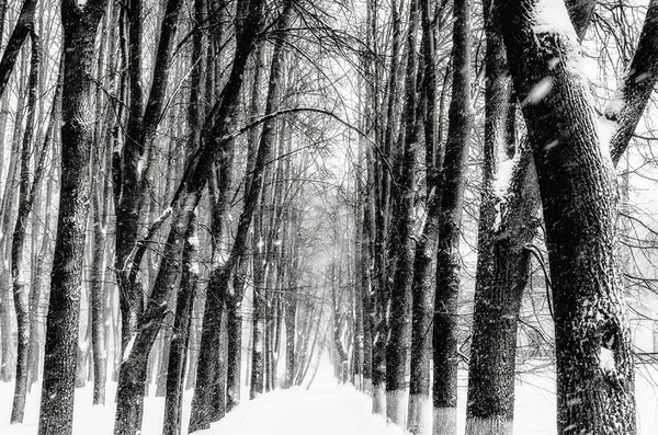 白雪皑皑的巷子里 图库图片