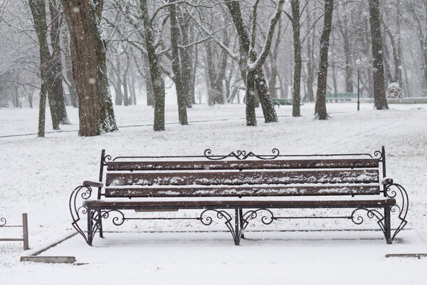 Snowy Bench in Park at Mainly cloudy nooning in Ukraine