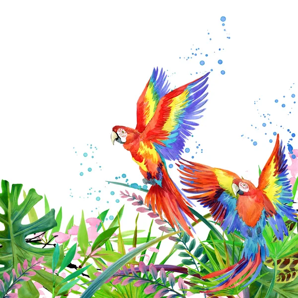 Tropical forest. Watercolor tropical forest. Parrot watercolor. Tropical plants watercolor background.