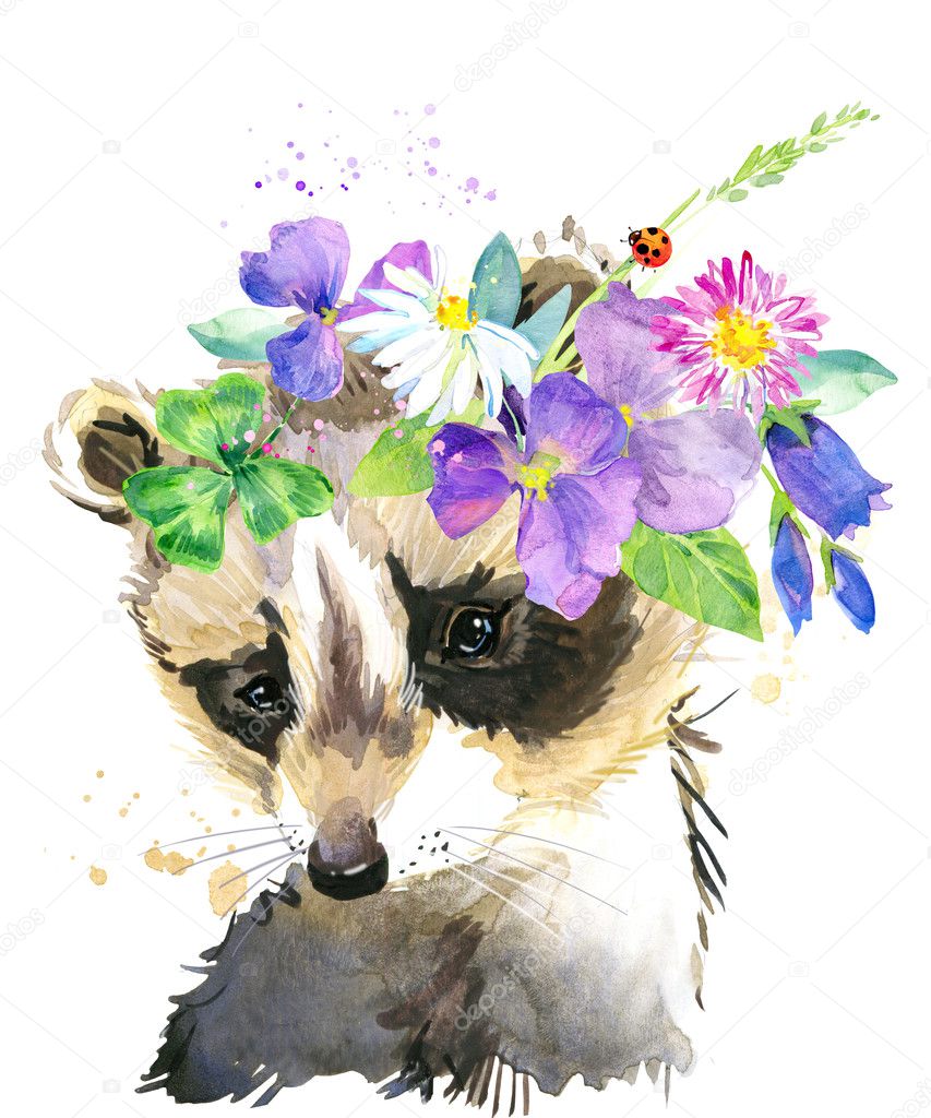 Cute raccoon. Raccoon. watercolor animal. Wild animal. Forest animal. T