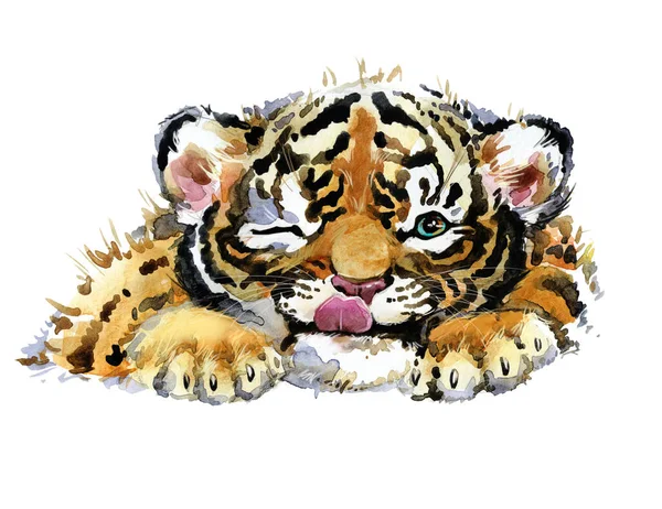 Petit Tigre Animaux Sauvages Aquarelle Illustration — Photo