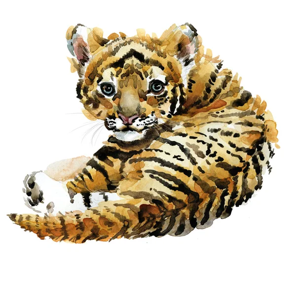 Mignon Tigre Ourson Aquarelle Illustration Série Bébés Animaux Sauvages — Photo