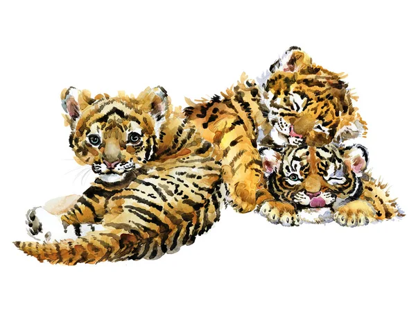 Χαριτωμένη Τίγρη Ζωγραφιά Ακουαρέλα Σειρά Άγριων Μικρών Ζώων — Φωτογραφία Αρχείου