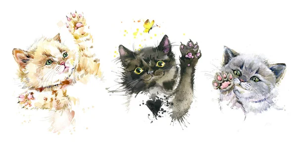 Симпатичный Набор Котят Играть Кошки Акварелью Иллюстрации — стоковое фото