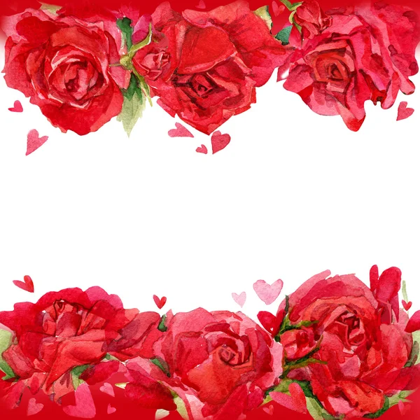 Valentines den. Červené srdce a pozadí rudých růží. watercolo — Stock fotografie