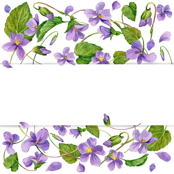 Fundo de flores de primavera. Floresta violeta e jovem grama verde . — Fotografia de Stock