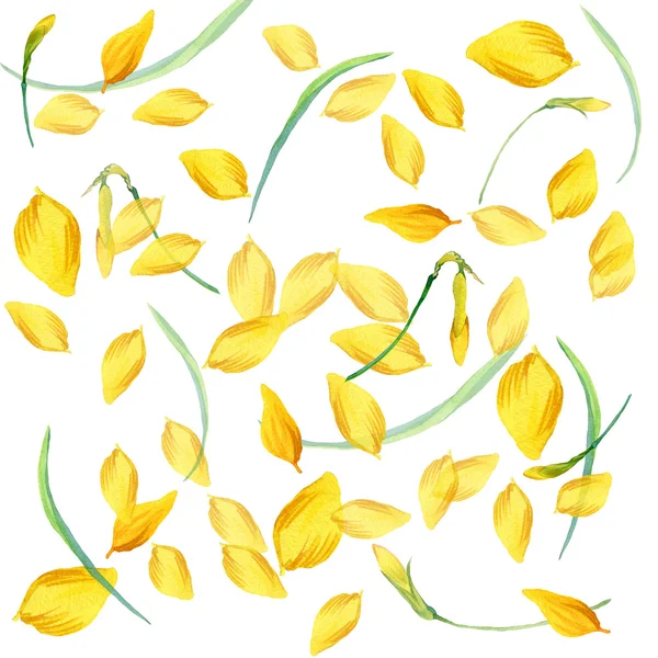 Blomma krans och unga grönt gräs. Vårens blommor bakgrund. akvarell konst — Stockfoto